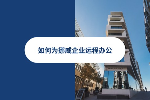 2025年如何为挪威企业远程办公？EMEA远程指南