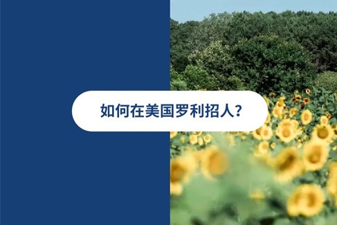 2025 年美国罗利雇佣指南