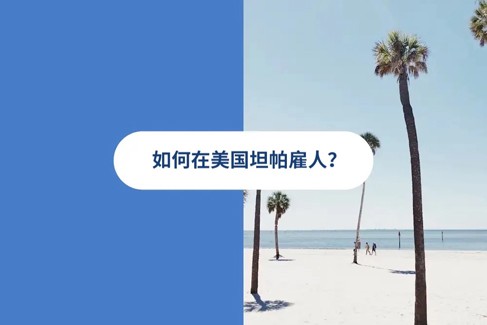 2025 年美国坦帕雇佣指南